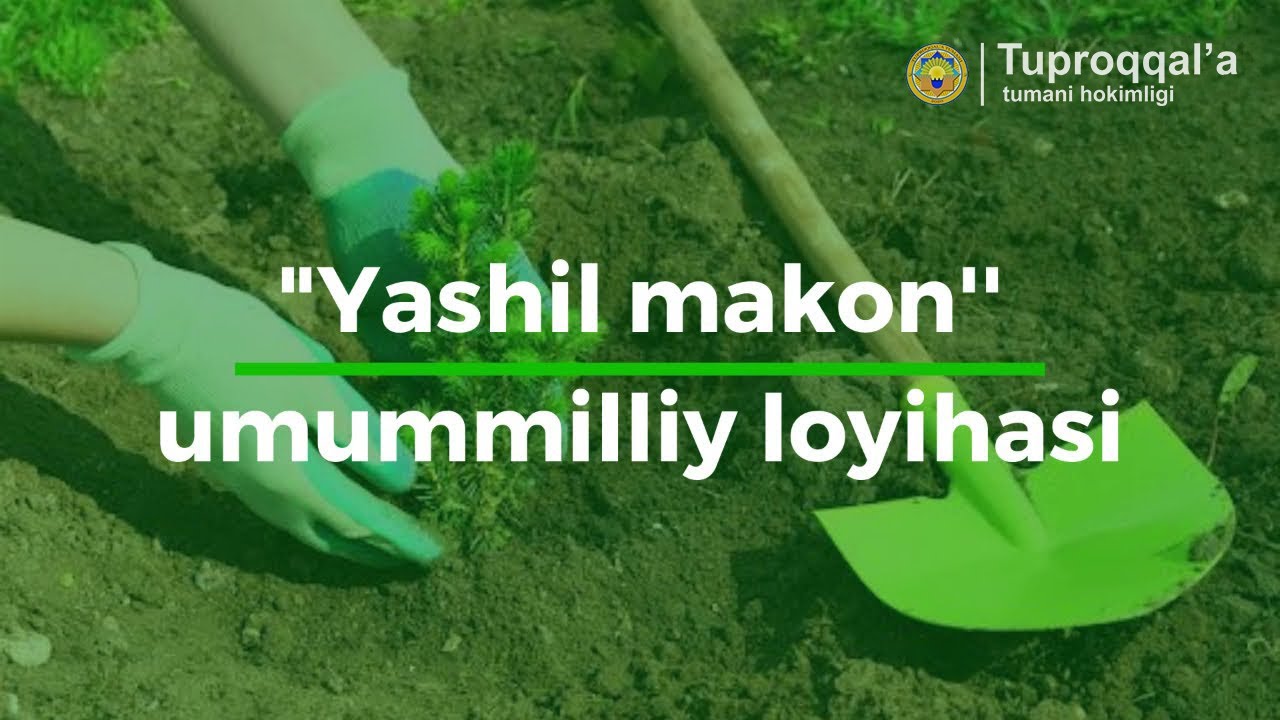 Yashil makon umummilliy loyihasi Tuproqqal'ada!