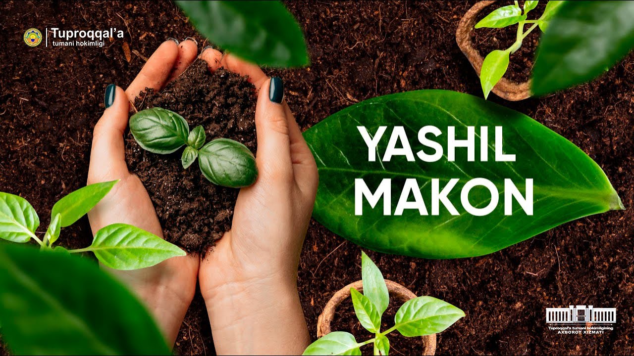 Yashil makon | Tuproqqal'a tumanida 