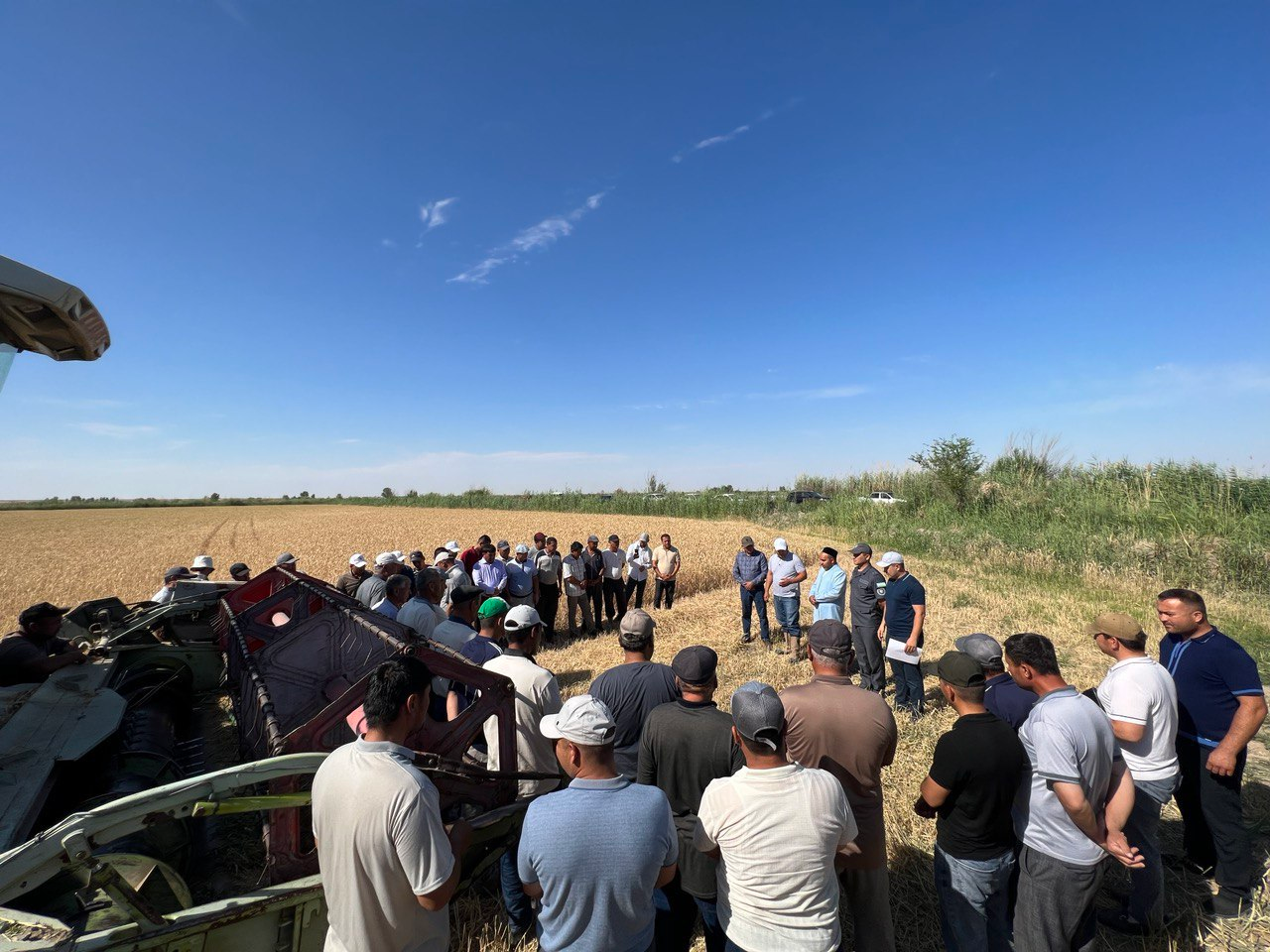 Tuproqqalʼada g‘alla o‘rimiga puxta hozirlik ko‘rilmoqda